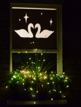 2025 Gwydir St festive window